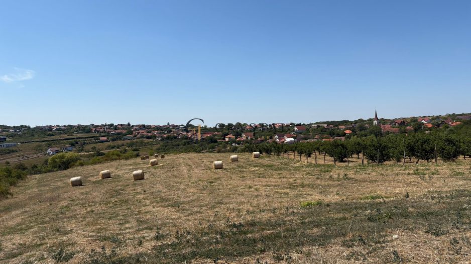 Teren intravilant | 6,355 mp | Săldăbagiu de Munte - Poză 1
