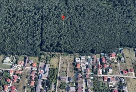 teren intravilan agricol Voluntari Ilfov - Poză 4