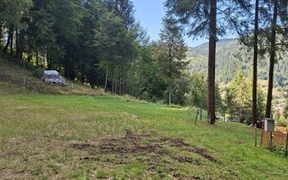 Teren intravilan la munte - Poză 3