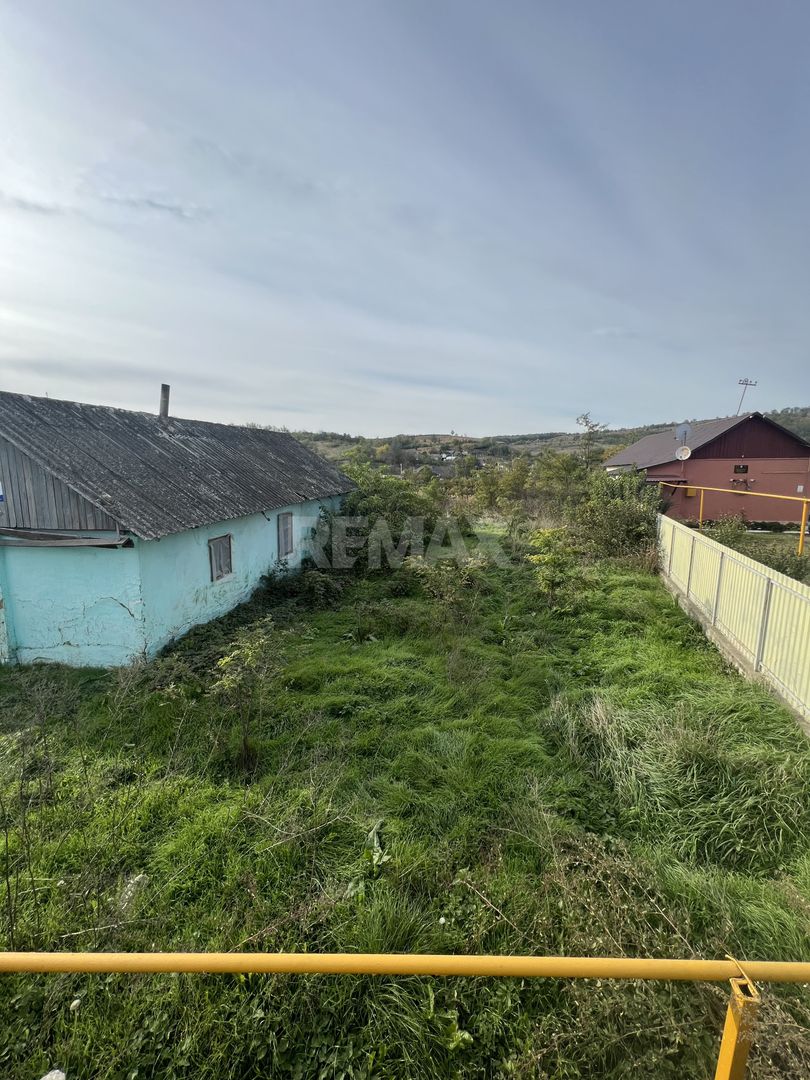 Teren pentru Constructii 32 Ari in Molesti - Poză 4