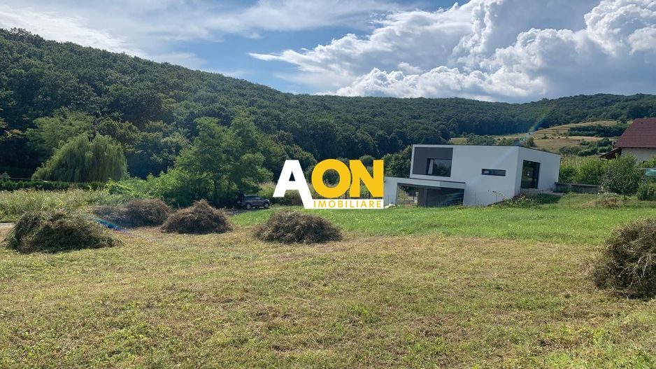 Teren intravilan, cu PUZ Aprobat, 675 mp, zona Schit - Poză 2