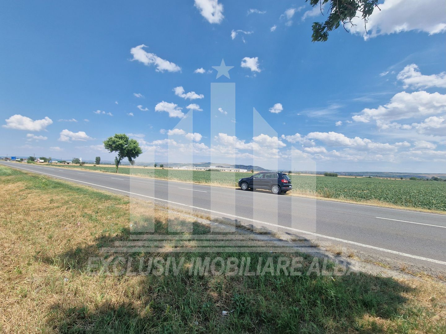 Teren agricol la sosea, pretabil si ptr constructii industriale - Poză 6