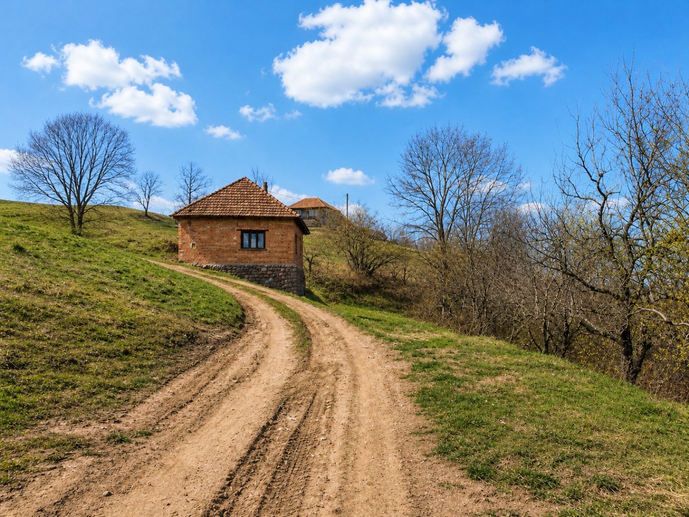 Casă de vacanță Bulz - Poză 1