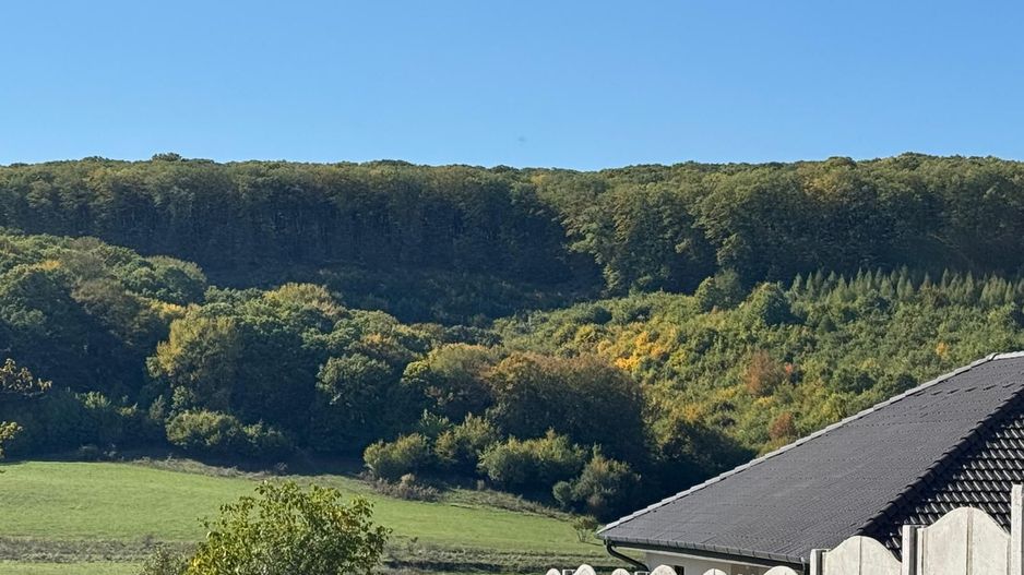 Teren intravilan in localitatea Betfia - Poză 5