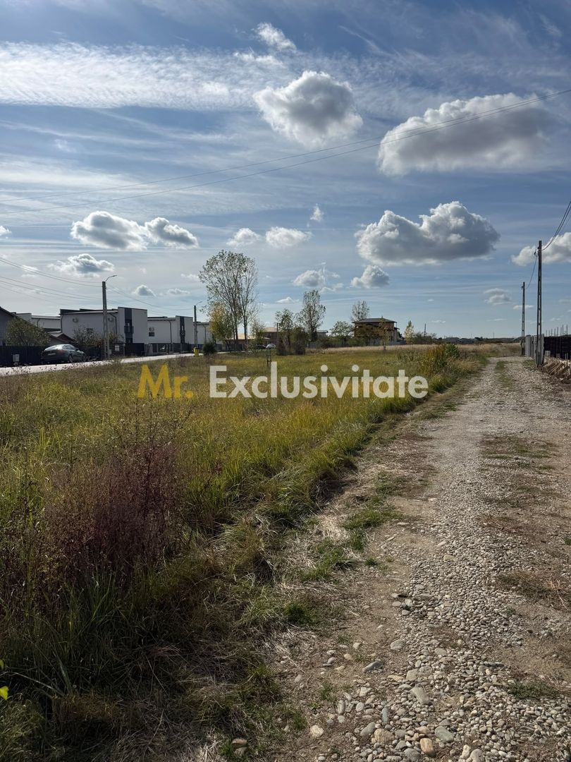 TEREN INTRAVILAN 3 LOTURI | 1.334 MP | BRADU | POTENȚIAL INVESTIȚIONAL - Poză 4