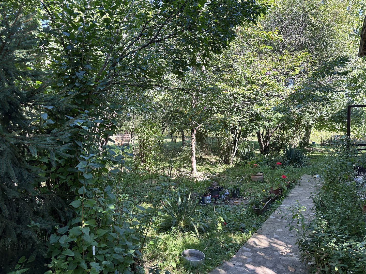 Vanzare casa in Pucioasa, Dâmbovița - 4 camere - teren 5.808 mp - Poză 30