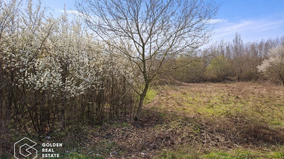 Teren intravilan, 4300 mp, sat Cuvesdia - Poză 1