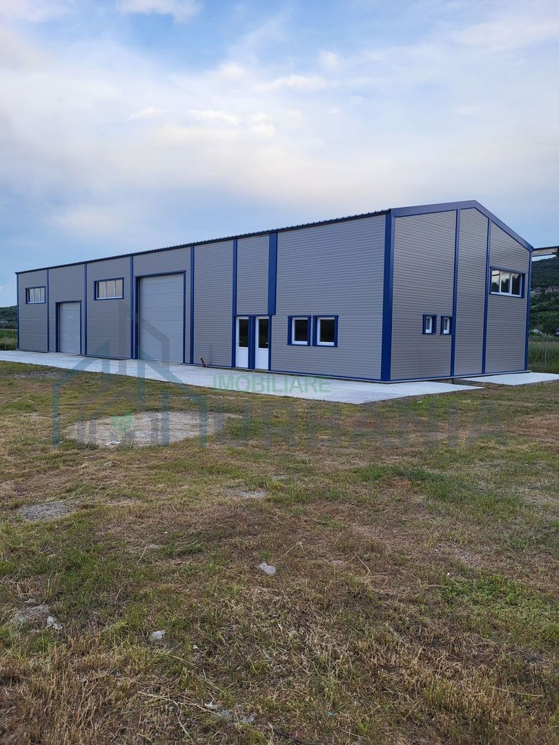 Hală de vânzare, 300 mp, teren 800 mp + 2300 mp industrial, Tomesti - Poză 2