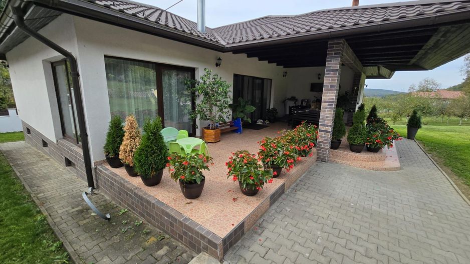 Casa 6 camere,300 mp,2500mp teren, Valea Iubirii,0% comision - Poză 3