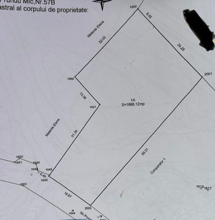 Teren intravilan Prundu - oportunitate excelentă de investiție! - Poză 2