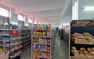 OPORTUNITATE  DE INVESTIȚIE: Supermarket la cheie , teren de 7.000 mp - Poză 39