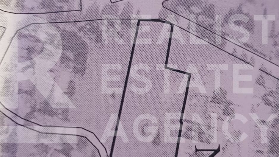 Teren intravilan 8.019 mp în Poiana Brașov, Strada Poiana Ursului - Poză 8