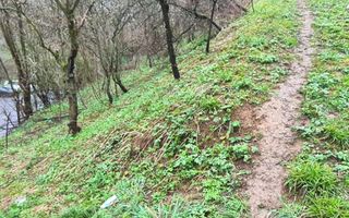 Teren intravilan1291 mp Schei Str Nisipului iesire la Drumul Poienii - Poză 8