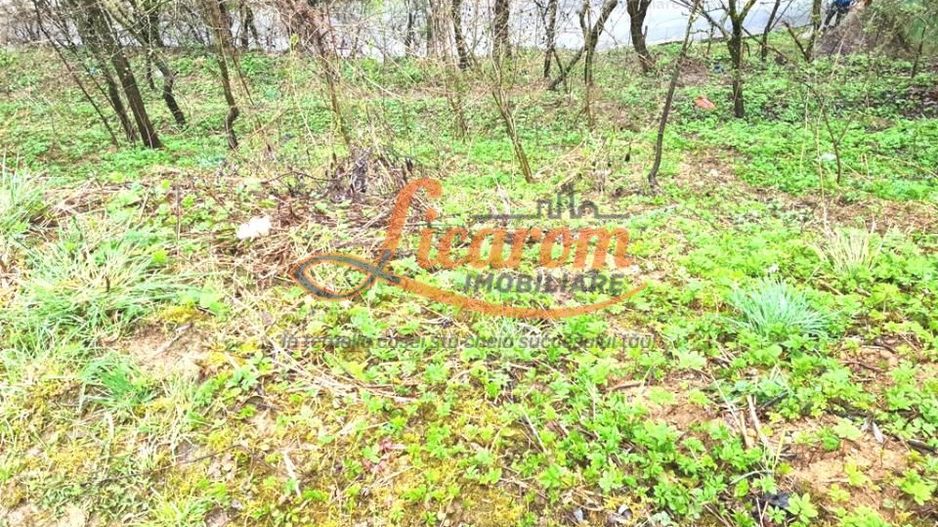 Teren intravilan1291 mp Schei Str Nisipului iesire la Drumul Poienii - Poză 5