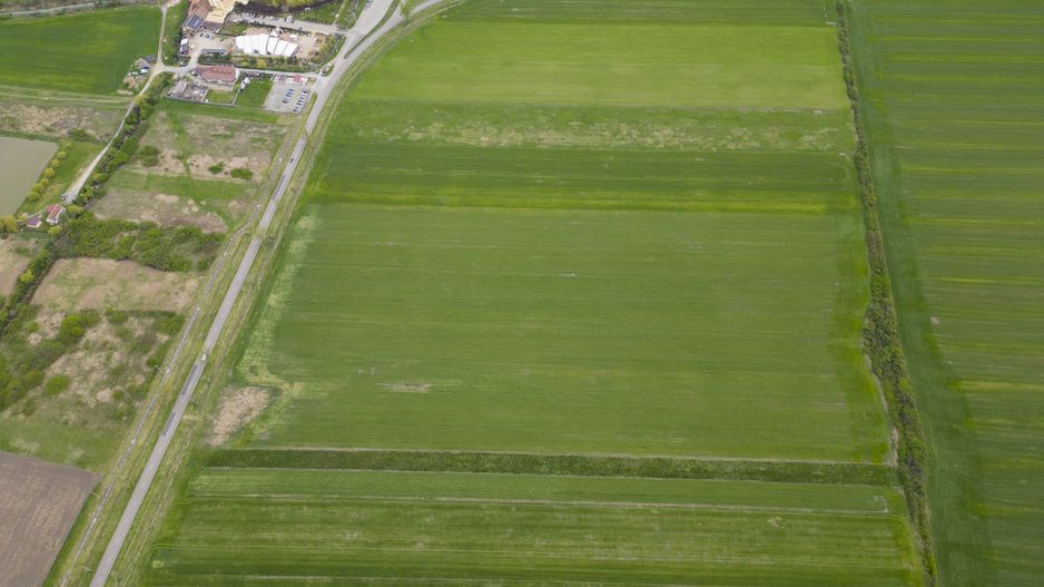 Teren extravilan de 22500mp Zona Ineu - Poză 9