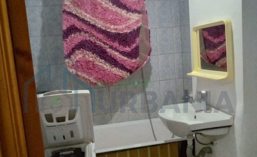 Apartament cu o cameră de închiriat pe Bulevardul Alexandru cel Bun, Iași - Poză 4