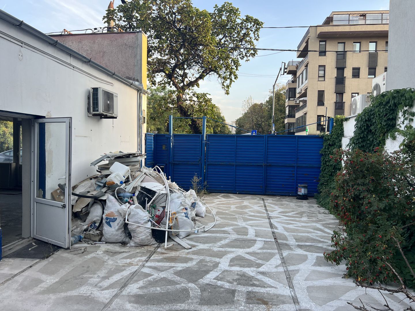 Spatiu comercial vila Piata Presei - Jiului - Poză 5