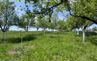 Casă de vacanță + livadă | teren 3000 mp | Chijic | Bihor - Poză 16