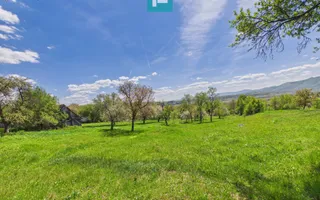 Proprietate rară cu 24.270 mp, în Măgulicea, Arad! - Poză 23