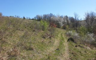 Teren cu panoramă fabuloasă, 10.059 mp, Roșia. 19.000 EUR. Comision 0 - Poză 3