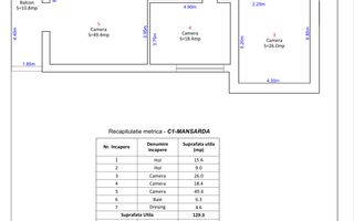 Oportunitate investitie, vila strada Dimitrie Cantemir - Poză 31