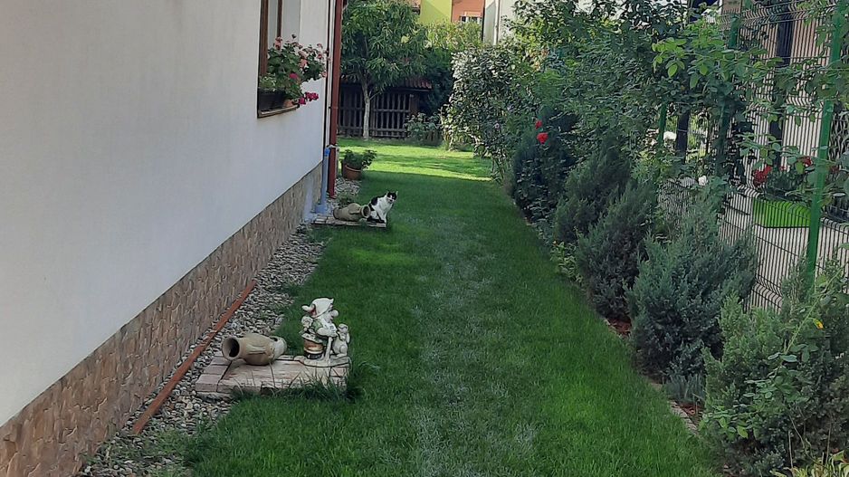 1/2 Duplex de vanzare -zona Ikea - Poză 12