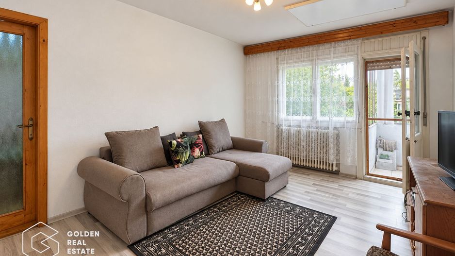 Apartament 2 camere, etajul 1, Bulevardul Revolutiei, Podgoria - Poză 2