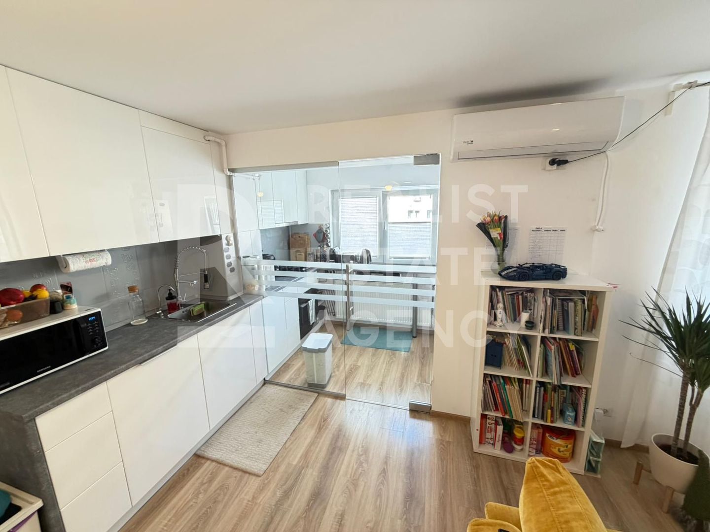 3 camere | Hils Pallady - Poză 3