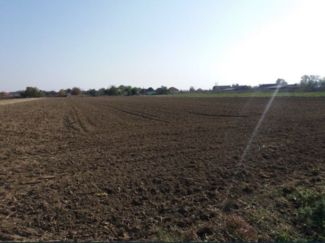 Investitie!Intravilan 55 ari capat Paulesti ( Intrare Ambud), 3.6 mf - Poză 5