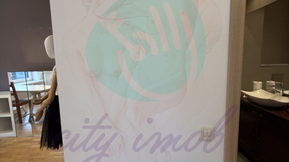 Un apartament Chic ideal ca locuinta sau activitate - Poză 5