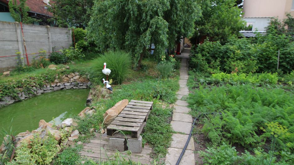 CASA CU TEREN MARE IN ZONA MEHALA - Poză 14