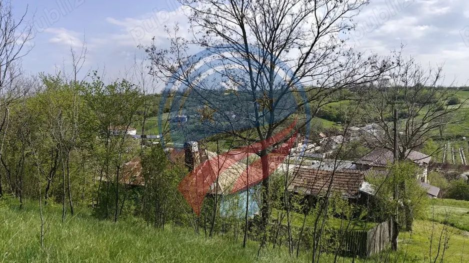 CASA LA 20 KM DE CRAIOVA CU 10000 MP. TEREN - Poză 1