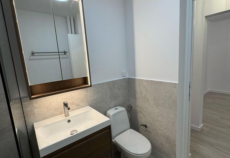 Apartament 3 camere complet renovat T645 - Poză 15