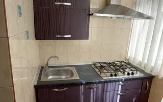 De închiriat apartament cu 3 camere, etaj 1, Siderurgistilor, 400 euro - Poză 21