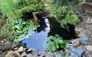 Vila in Braytim cu piscina - Poză 26