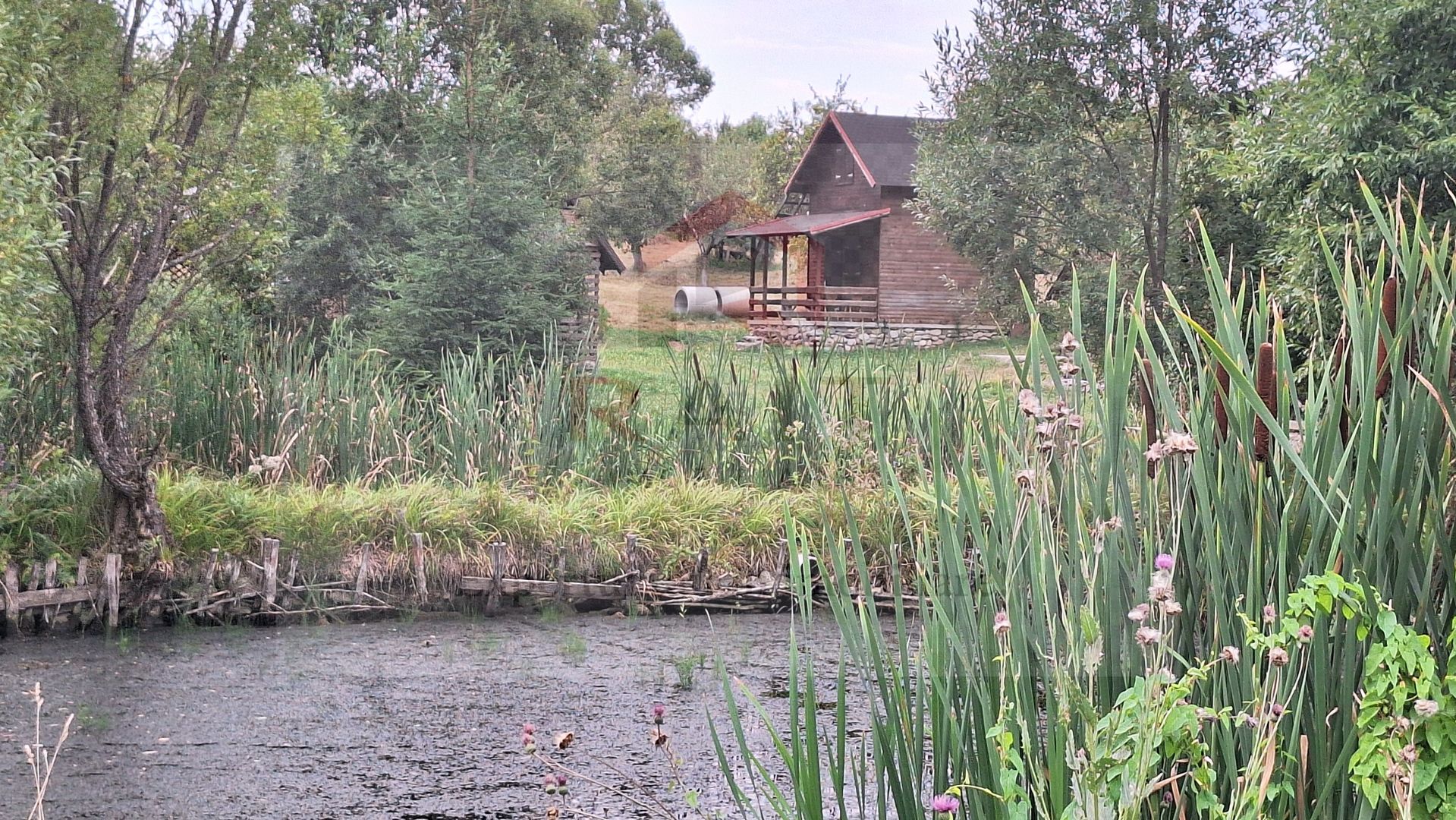 VANZARE ANSAMBLU CASUTE BRADULET ARGES - Poză 14