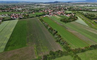 Teren intravilan 3h, Stupini -Str. Oitelor, asfalt si utilitati la 70 m - Poză 5