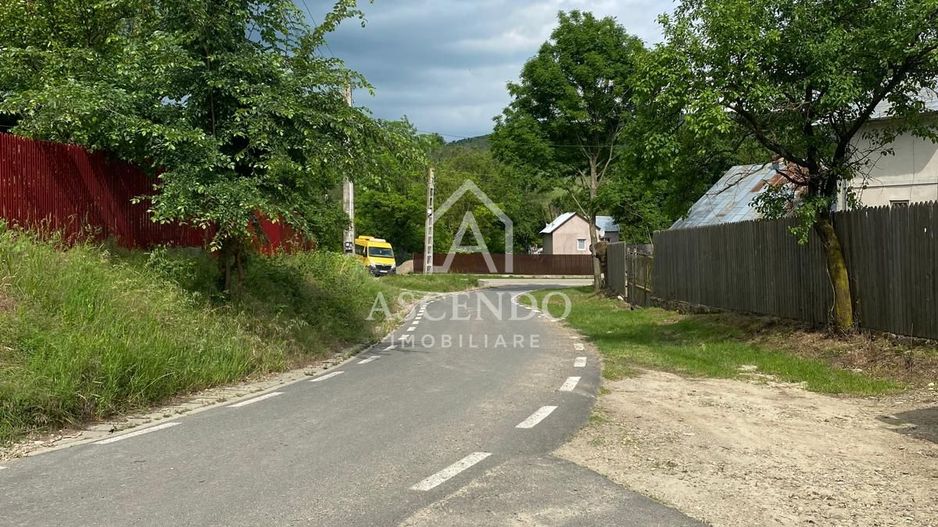Domeniu 15.900 mp în Fințești | Casă + Investiție Dealu Mare - Poză 22
