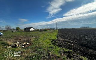 Oportunitate deosebita! Teren 4000 mp, intravilan, Sanpaul - Poză 3