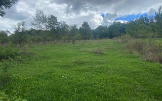 TEREN INTRAVILAN 3000 MP, GRUI, CAMPULUNG - Poză 1