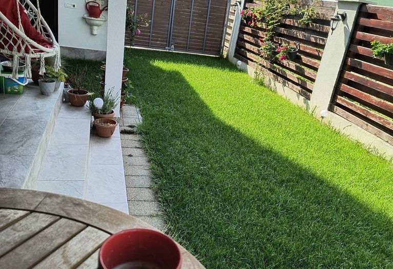 Casa insiruita Dumbravita - Poză 10