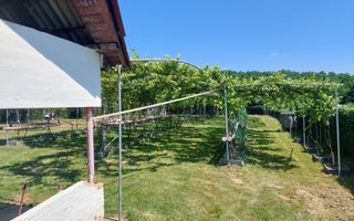 Teren | Intravilan 2.166 Mp | Construcție existenta |  Pădurea Dumbrava - Poză 6