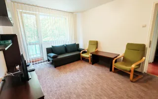 2 camere, spatios, mobilat modern, balcon, Gheorgheni - Poză 13