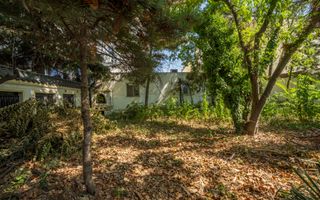 ULTRACENTRAL - Vilă UNICĂ și cu POTENȚIAL uriaș, o poveste de succes - Poză 31