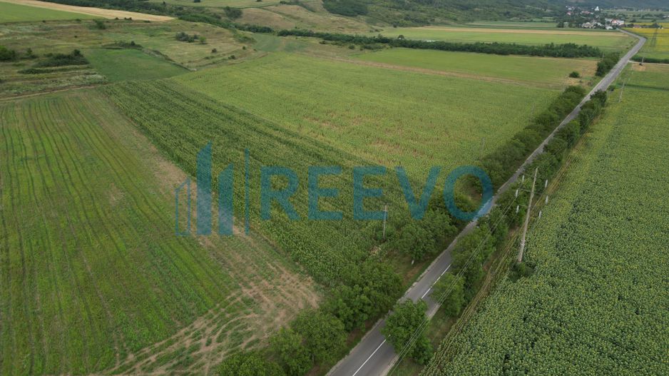 Teren de 4.400 mp Racova - Poză 2