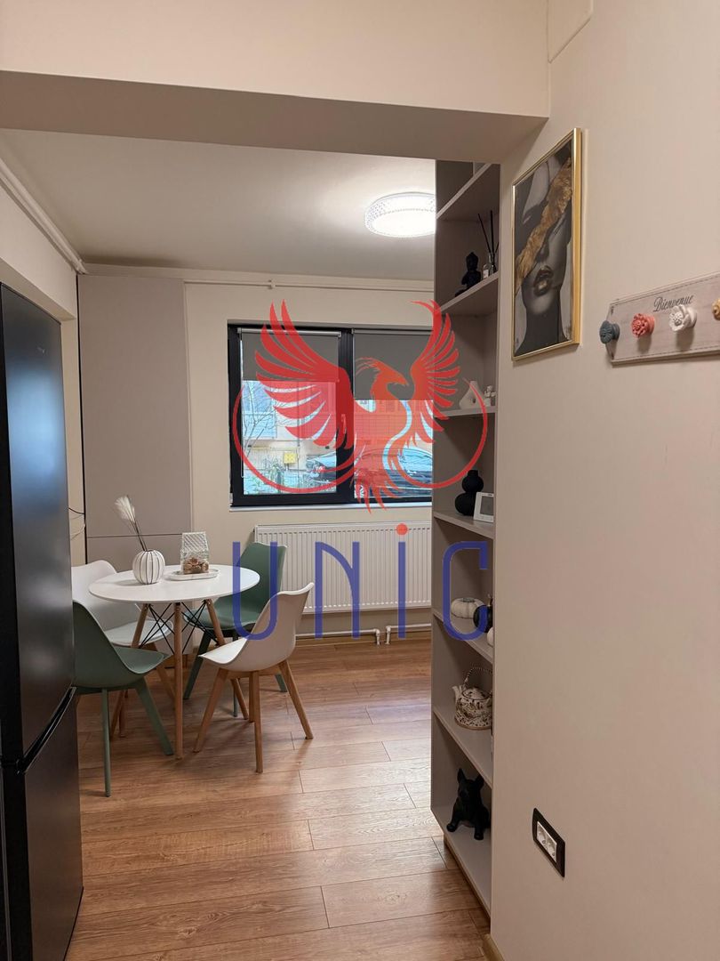 Garsoniera mobilata si utilata, Aristizza Romanescu - Poză 9