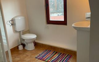 Casa - 320mpu - Ultracentral - Ideal Investitie - Teren 583mp - Poză 11