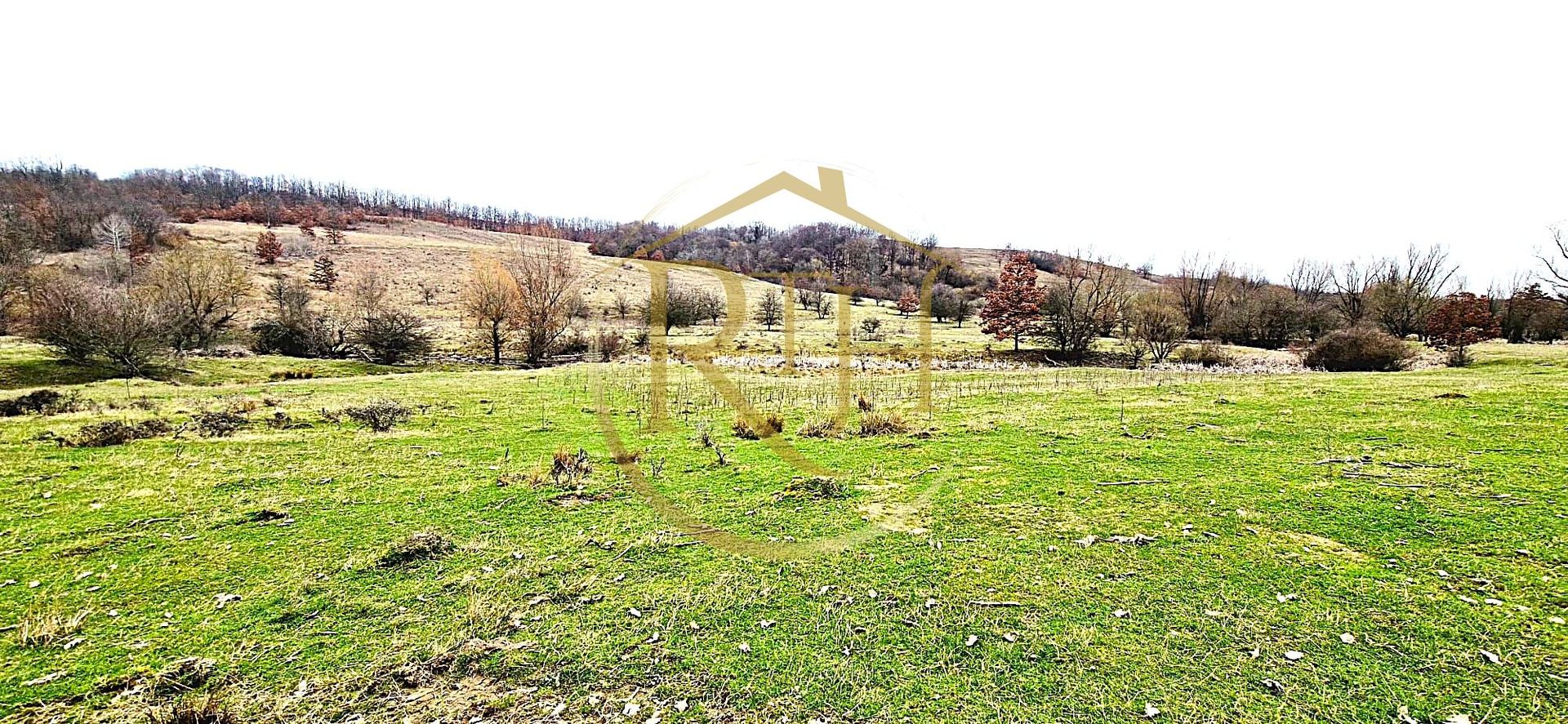 Terenuri extravilane de vânzare – Vizma & Crivobara, comuna Secaș, jud. Timiș - Poză 17