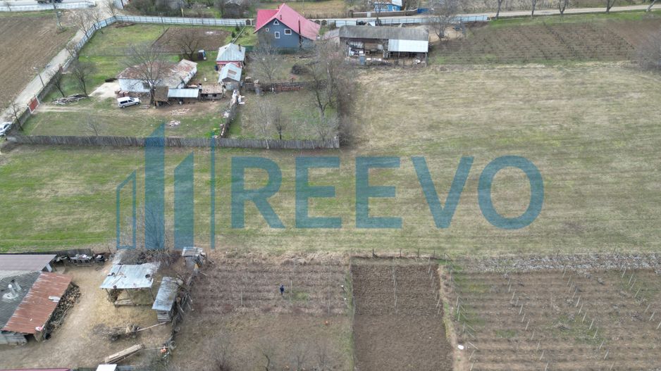 Teren de vânzare, Sat Bazga, Com. Horgești, Bacău - Poză 12