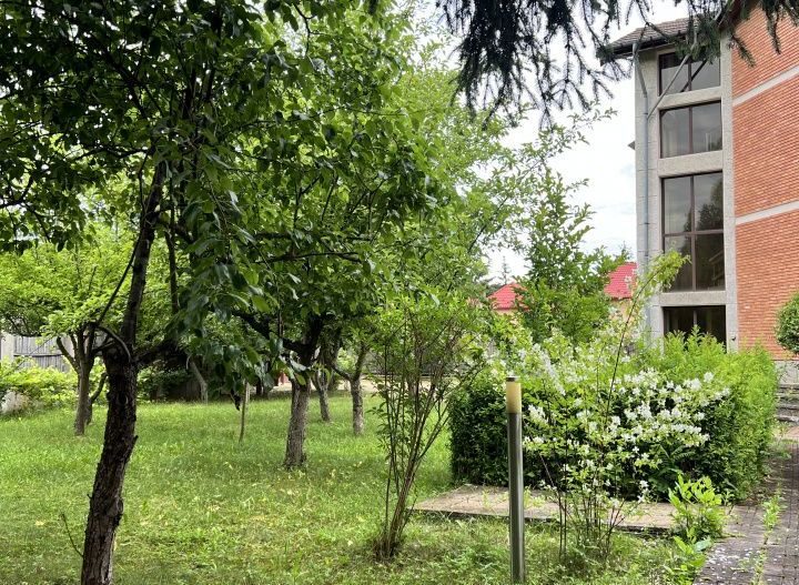 Acasă la Bascov- Județ Arges cu peisaj de poveste - Poză 4